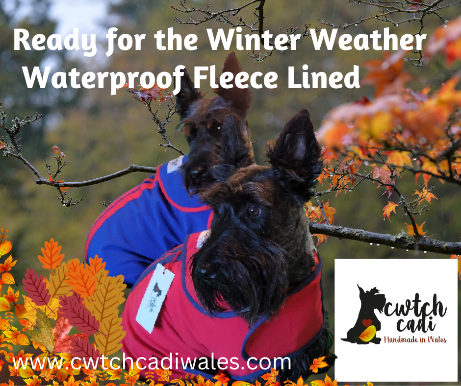 waterproof fleece backed coat