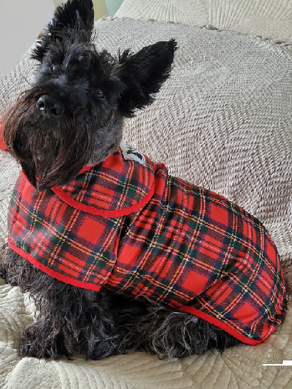 Tartan Cosy Coat